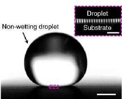 Congratulations to Solomon, Rishi, and Ryan for a publication in Nature Communications